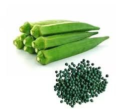 Category: Vegetable SeedsType: OrganicSuitable Season: Summer & KharifGermination Rate: 85–90%Harvest Time: 50–60 Days